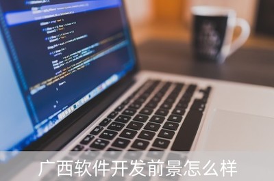 广西软件开发前景与软件工程专业大学排名分析